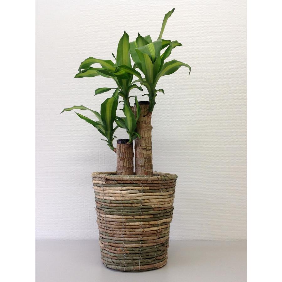 植木鉢 寒冷地 中型 10号鉢対応 鉢カバー 「 クレイポット（CLAYPOT