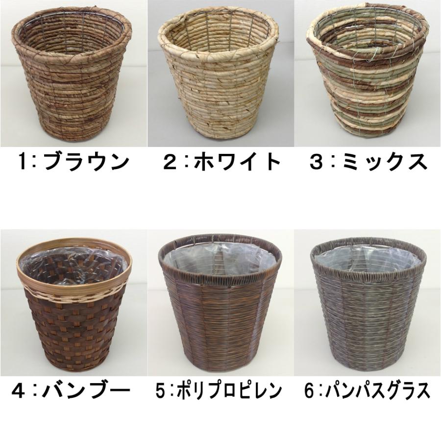 選べる鉢カバー植え替えセット 7号サイズ(観葉植物/送料無料