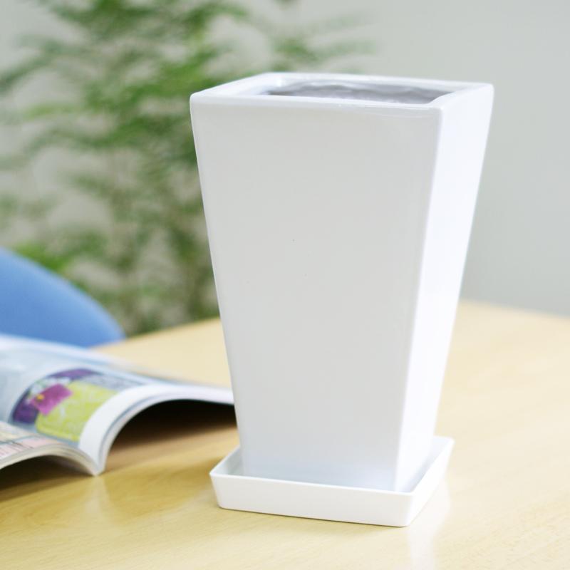 5号角陶器鉢(白赤黒) A-035【用土別売】スクエア 観葉植物 植木鉢