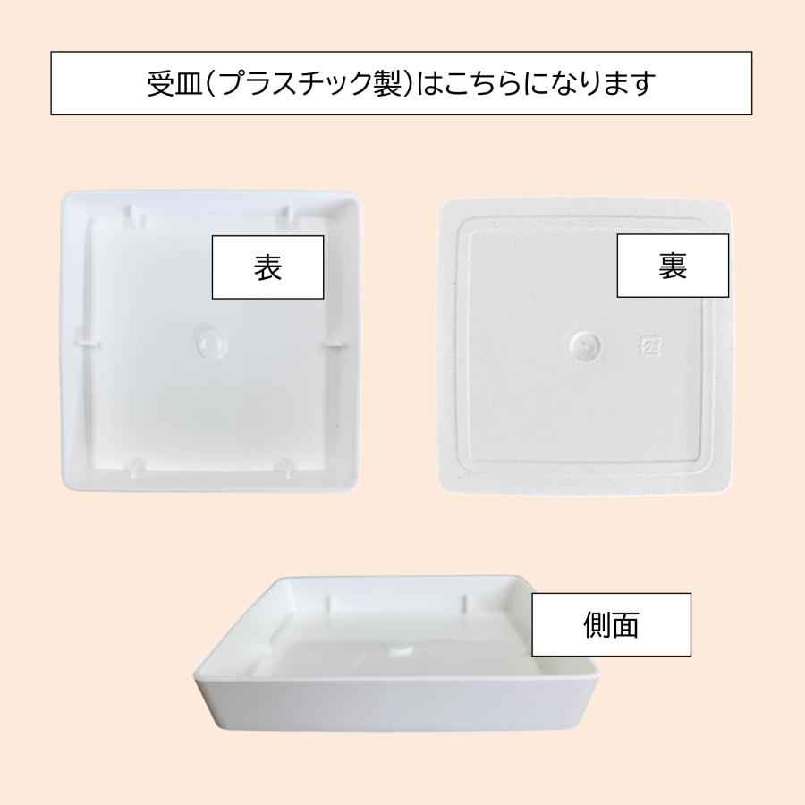5号角陶器鉢(白赤黒) A-035【用土別売】スクエア 観葉植物 植木鉢