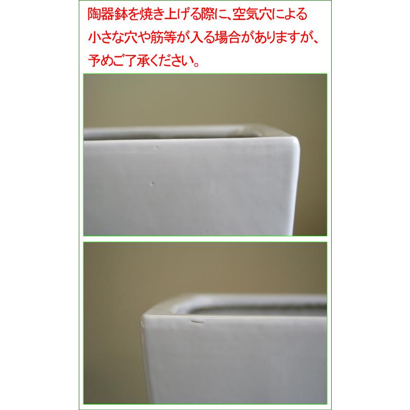10号陶器鉢(角白) A-047(丸白) DS41【用土別売】送料無料 観葉植物