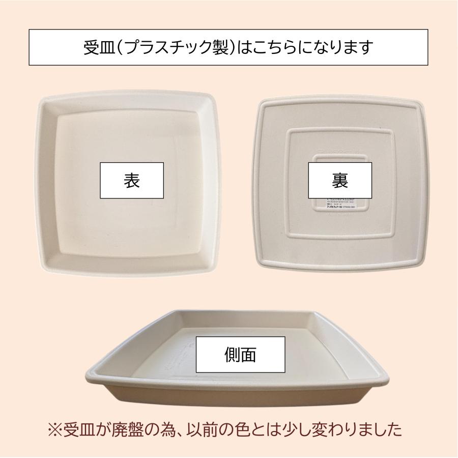 10号陶器鉢(角白) A-047(丸白) DS41【用土別売】送料無料 観葉植物