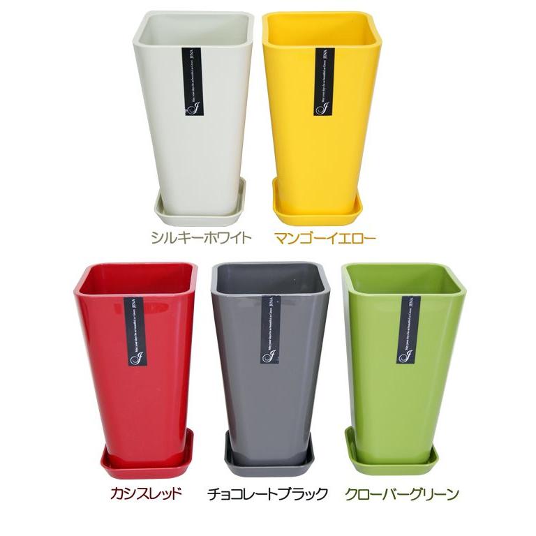 8号カラーポット鉢 白赤黄緑黒 送料無料 観葉植物 植木鉢 植え替え Colorpot8 観葉植物の生産直売 幸せの花急便 通販 Yahoo ショッピング