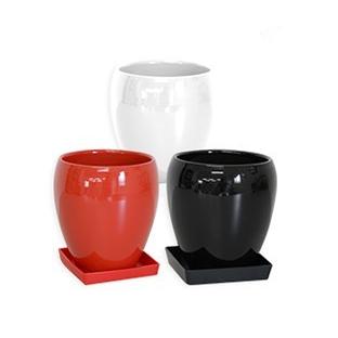 観葉植物 モンステラ5号陶器鉢 人気 ランキング : 観葉植物の 観葉植物 モンステラ5号陶器鉢 人気 ランキング : 観葉植物の