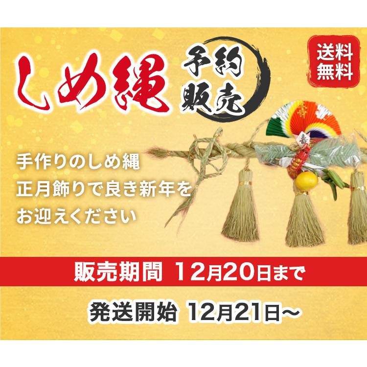 2026年 午 しめ縄飾り（特大）|【送料無料】【正月限定/注連縄/新年