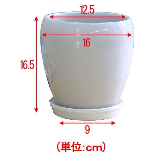 5号陶器鉢(白赤黒) A-091【用土別売】送料無料 観葉植物 植木鉢