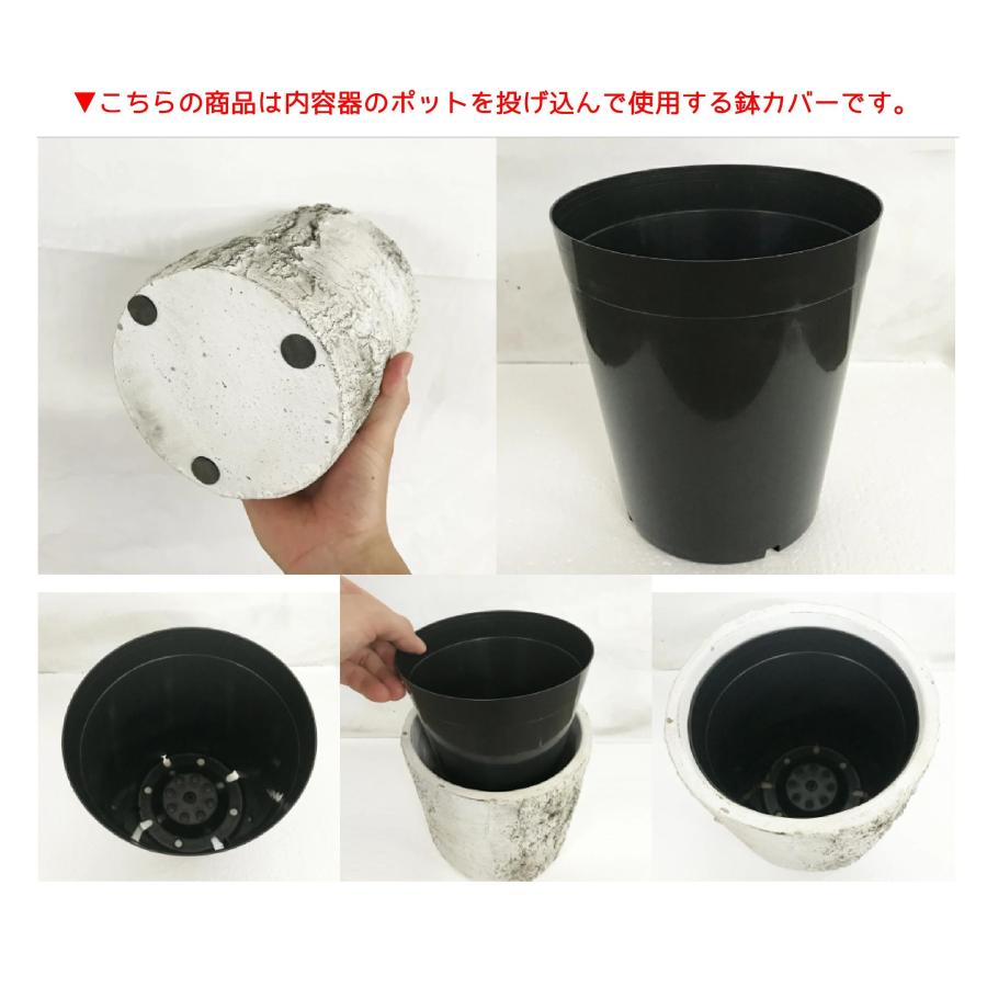 6号陶器鉢カバーLUSSO（内ポット付）−白樺 LS650【用土別売】(観葉