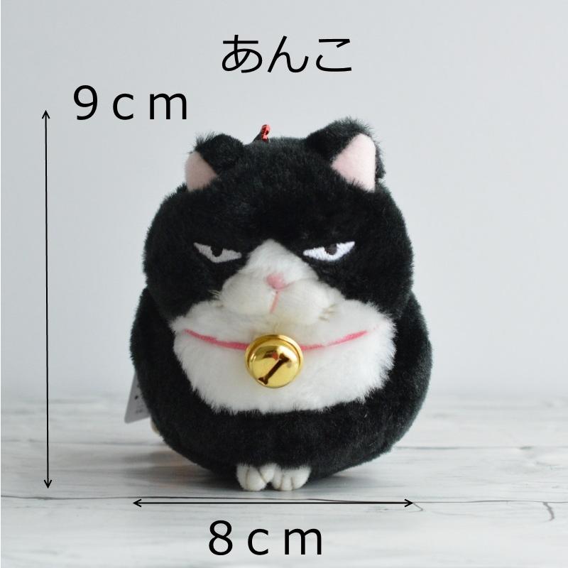 ママ募集❤生後１日子猫ちゃん♡バスケットとクマたん♡アートドール♡ぬいぐるみ♡ Mother garden】さわってねこちゃん - YouTube