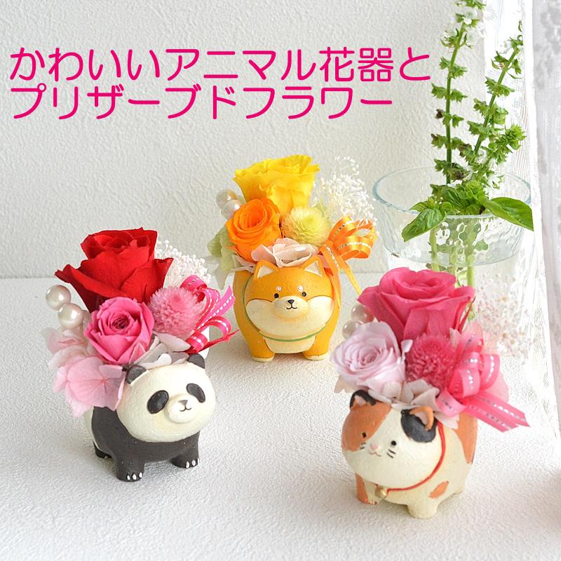 アニマル花器とプリザーブドフラワー プレゼント 花 ギフト 誕生日 5月 母の日 猫好き 犬好き 三毛猫 猫 柴犬 パンダ（Yahoo!・花らんどうえきヤフー店）