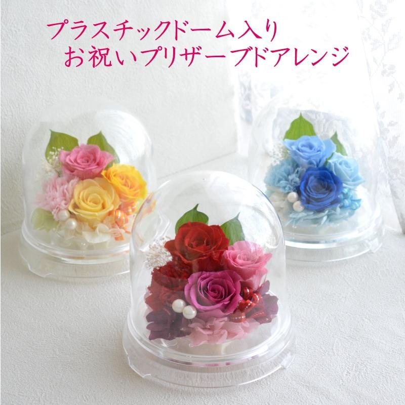 プリザーブドフラワー 誕生日 花 1月 青バラ プレゼント ホワイトデー 女性 枯れない花 還暦 古希 喜寿 傘寿 米寿 青系 プラスチックドーム プチギフト ドーム Domu001 花らんどうえきヤフー店 通販 Yahoo ショッピング