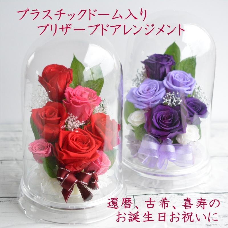 人気の贈り物が大集合 プリザーブドフラワー 誕生日 花 7月 プレゼント 枯れない花 還暦 古希 喜寿 送別 紫バラ 赤バラ プロポーズ プラスチックドーム 縦長ドーム Aynaelda Com