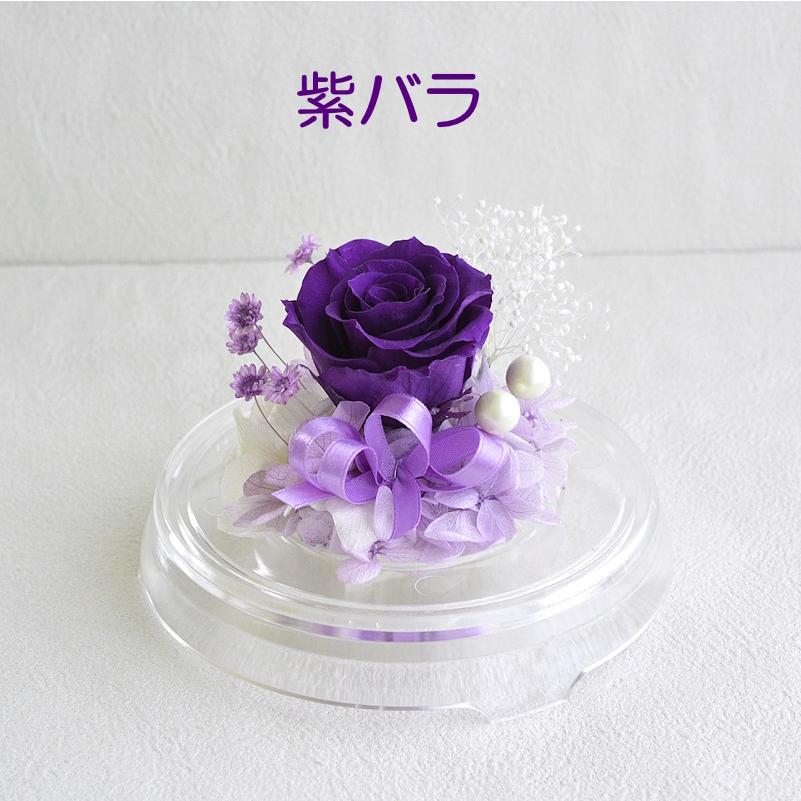 プリザーブドフラワー 誕生日 花 一輪 ドーム 6月 推し活 推しカラー
