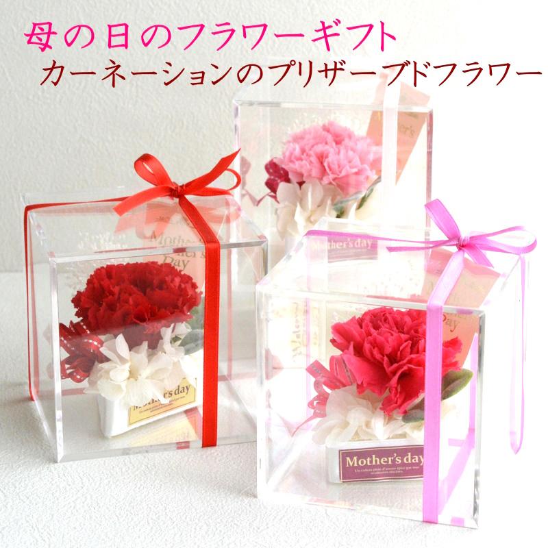 プリザーブドフラワー 母の日 花 ギフト プレゼント カーネーション 2026  遅れてごめんね お供え 一輪カーネーション（Yahoo!・花らんどうえきヤフー店）