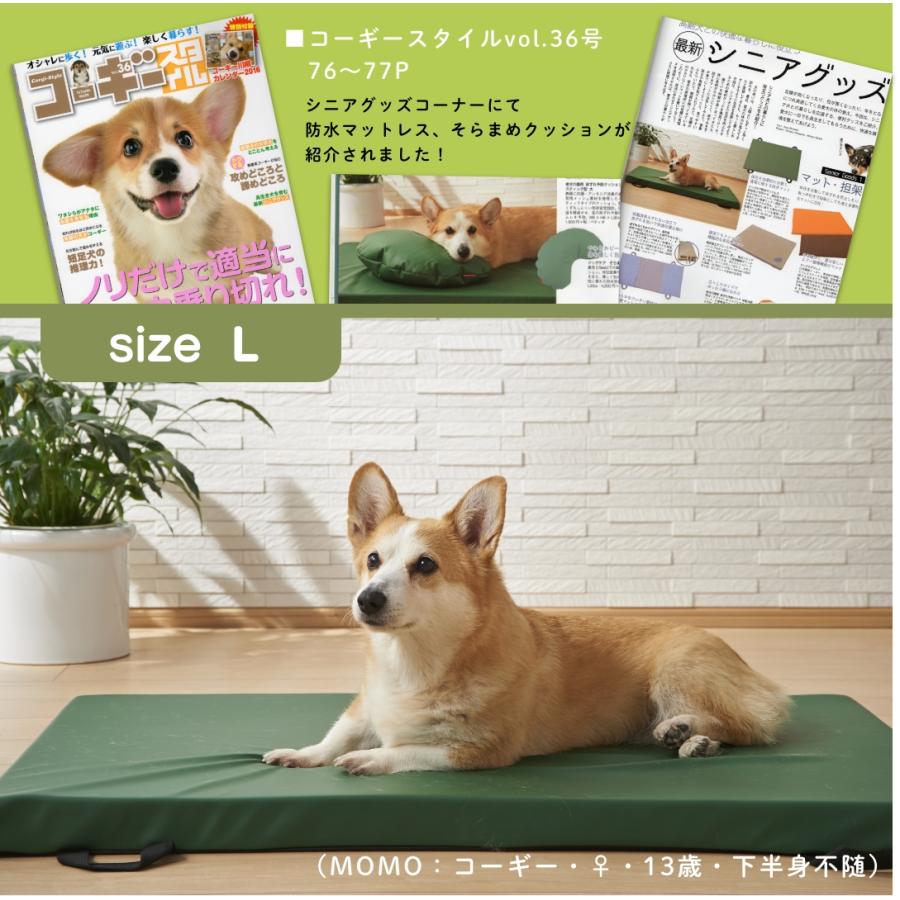 ハナロロ 【ハナロロ公式】ドッグケア 防水マットレス(Lサイズ