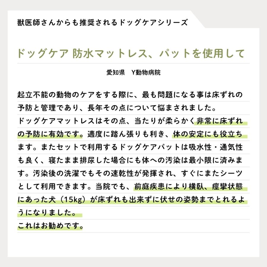ハナロロ 【ハナロロ公式】ドッグケア 防水マットレス(Mサイズ