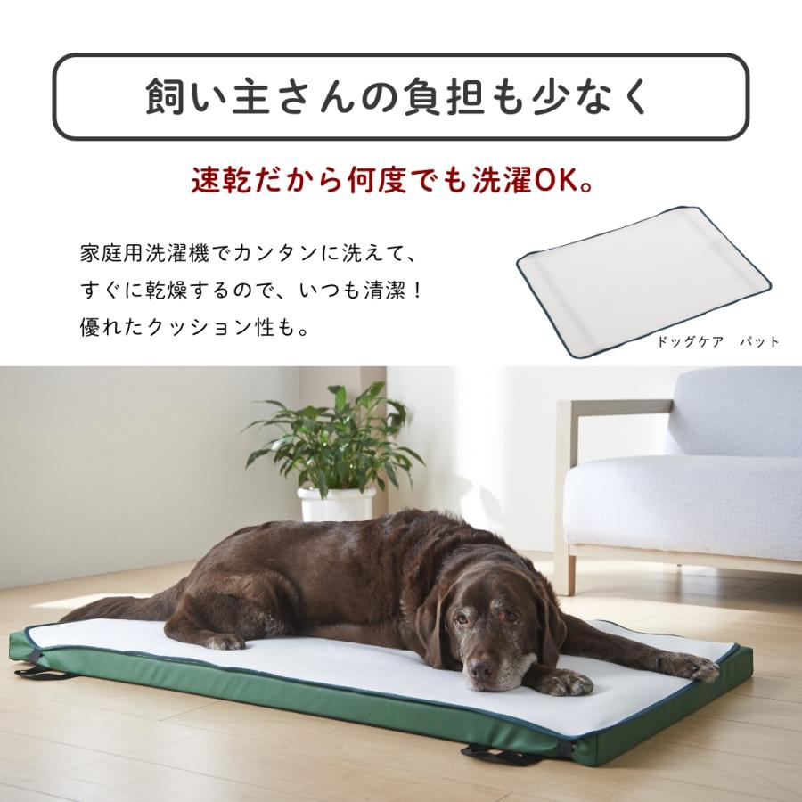 ハナロロ 【ハナロロ公式】ドッグケア 防水マットレス用パッド(Mサイズ