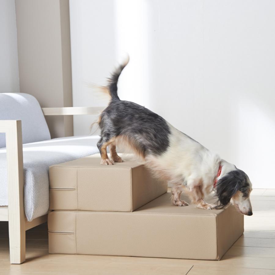 ハナロロ 【ハナロロ公式】ドッグケア ペットステップ 犬用階段 2段