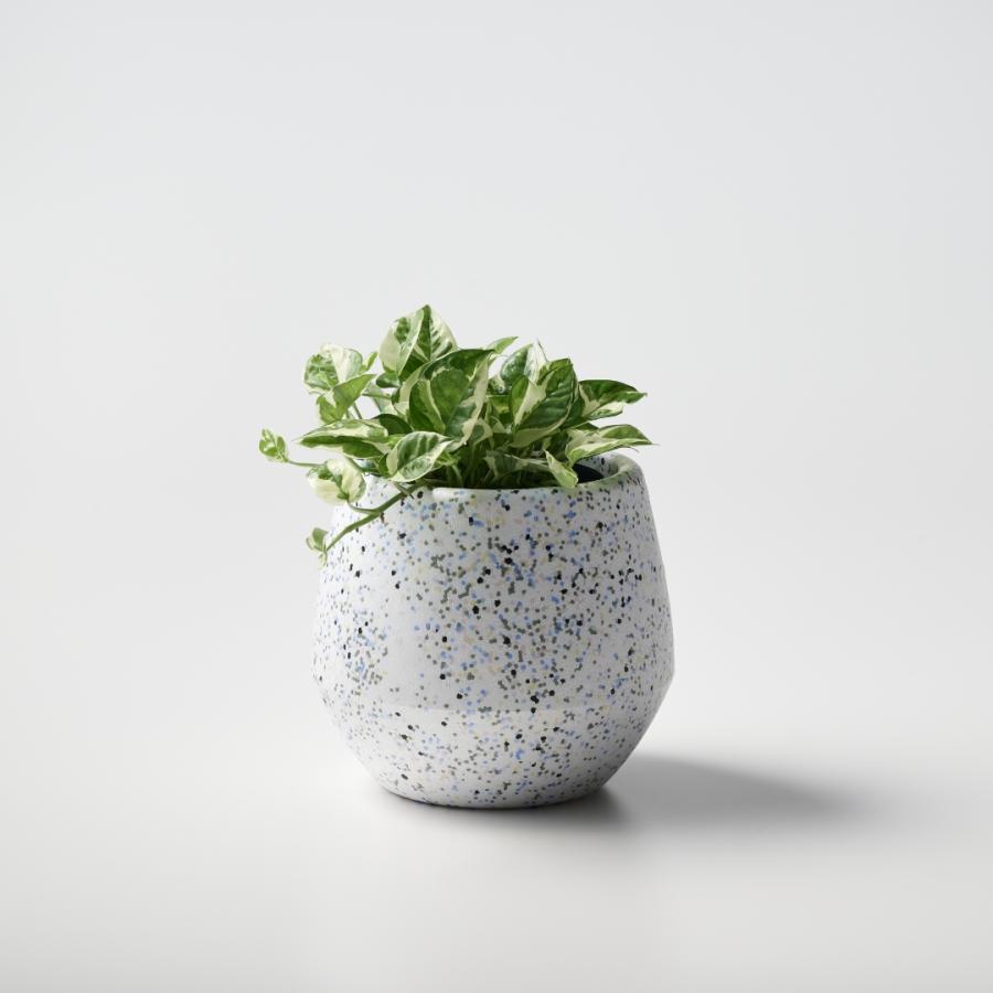 ハナロロ公式】カラービーズ植木鉢カバー : ハナロロ - 通販 - Yahoo