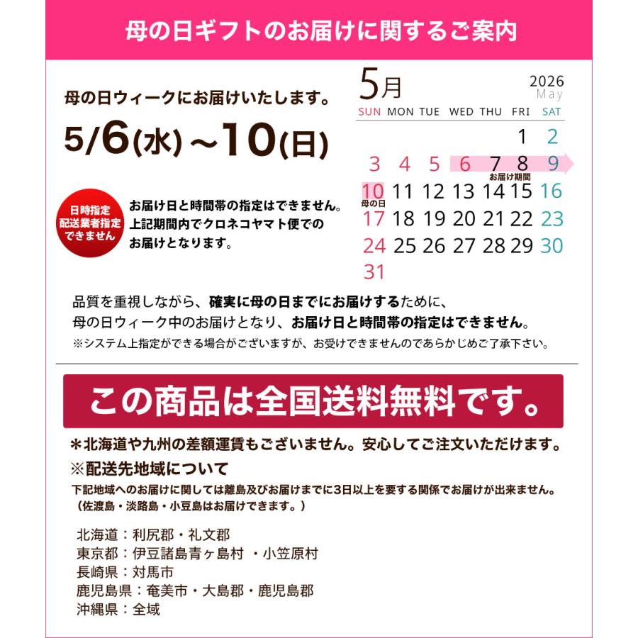 早割! 母の日 12種類から選べるカーネーション5号サイズ 鉢植え 全国送料無料 2026 |  | 20