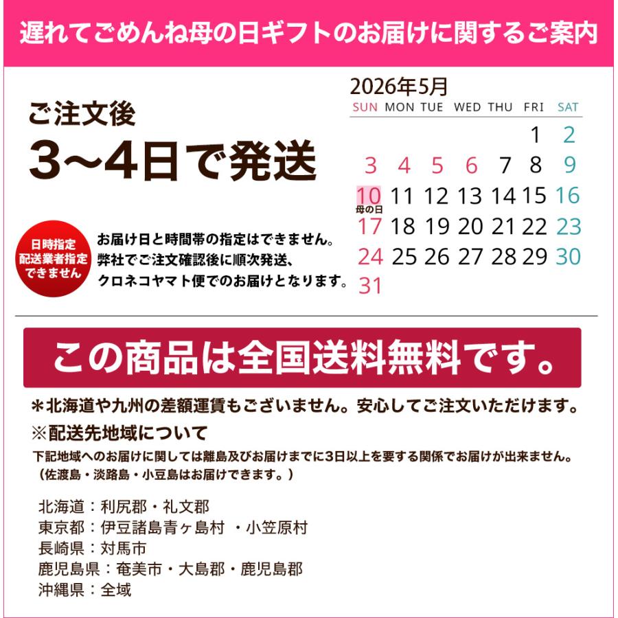 遅れてごめんね 母の日 12種類から選べるカーネーション5号サイズ 鉢植え 全国送料無料 2026 |  | 20