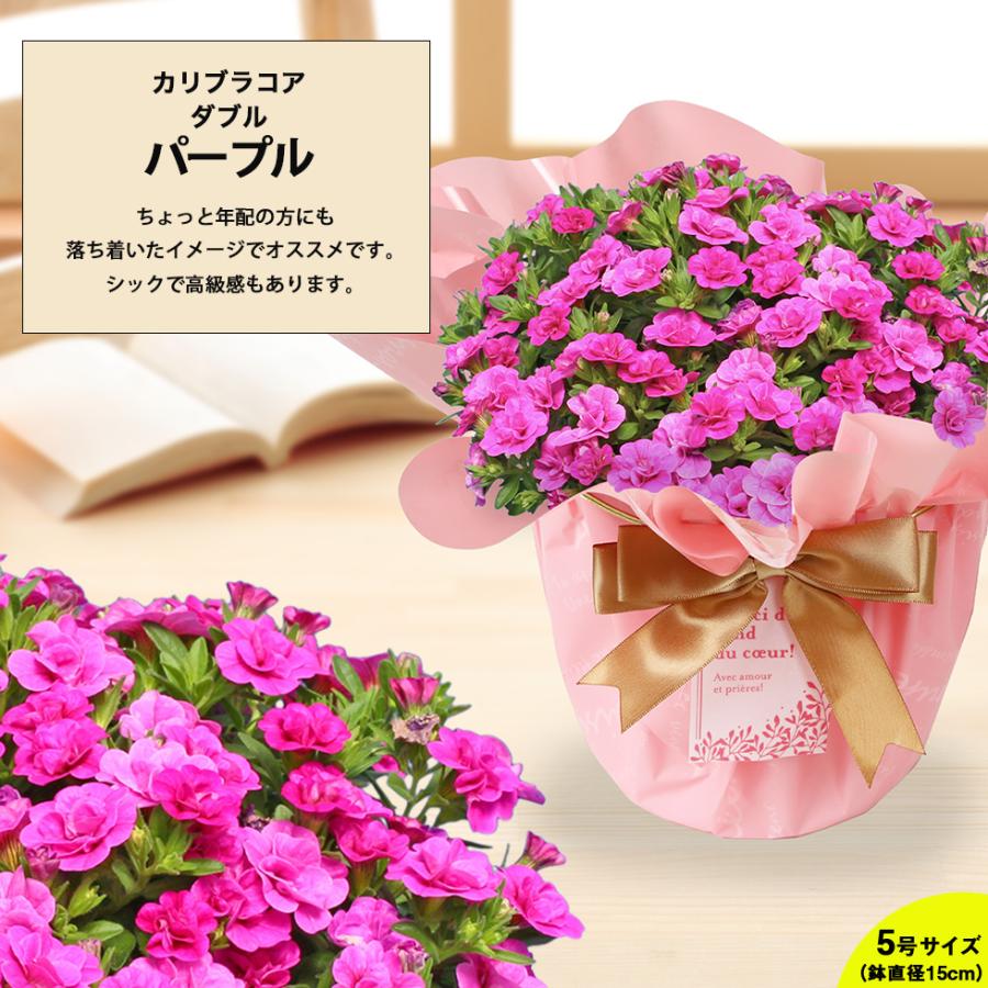 母の日 2026 プレゼント ギフト 花 11種類から選べる カリブラコア