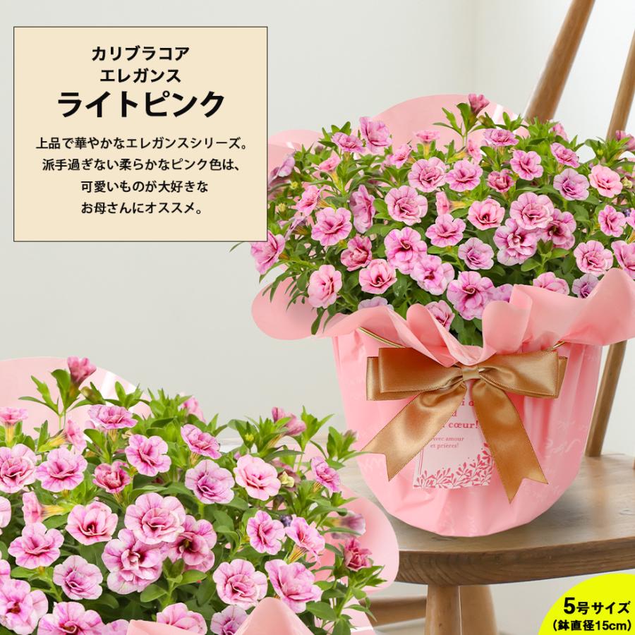 母の日 2026 プレゼント ギフト 花 11種類から選べる カリブラコア