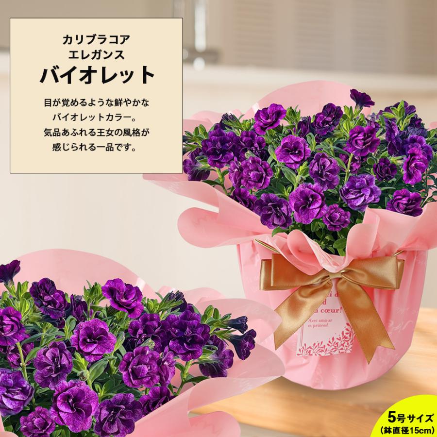 遅れてごめんね 母の日 2026 プレゼント ギフト 花 11種類から選べる