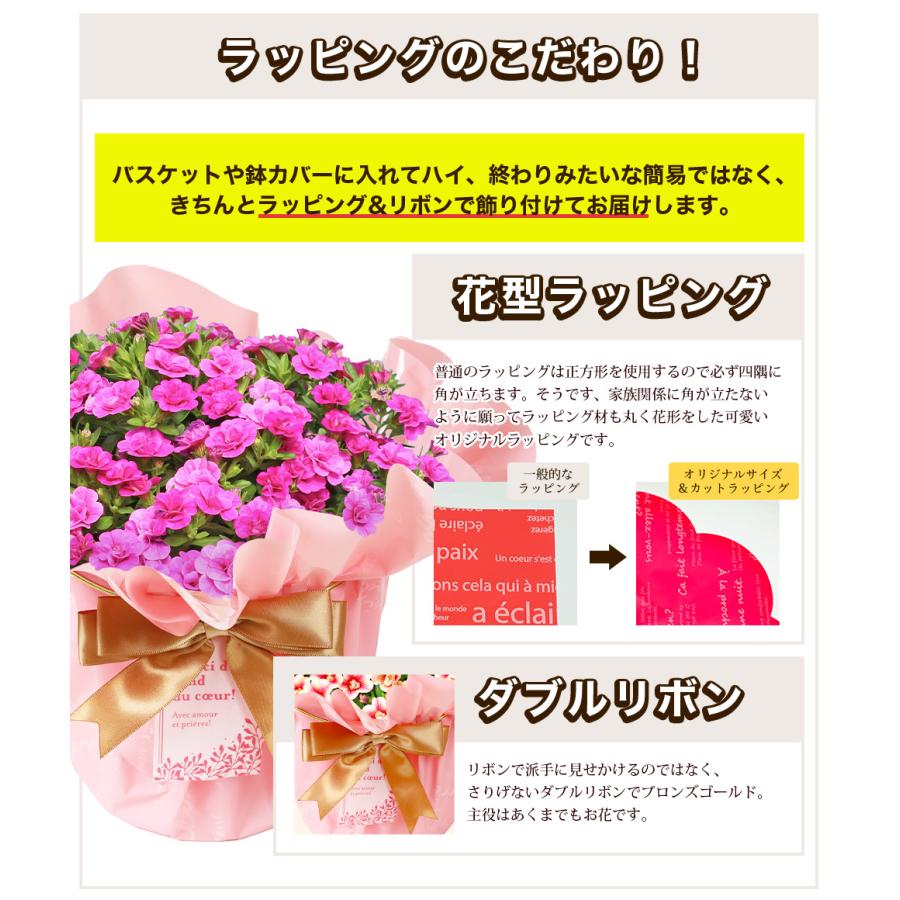 遅れてごめんね 母の日 2026 プレゼント ギフト 花 11種類から選べる
