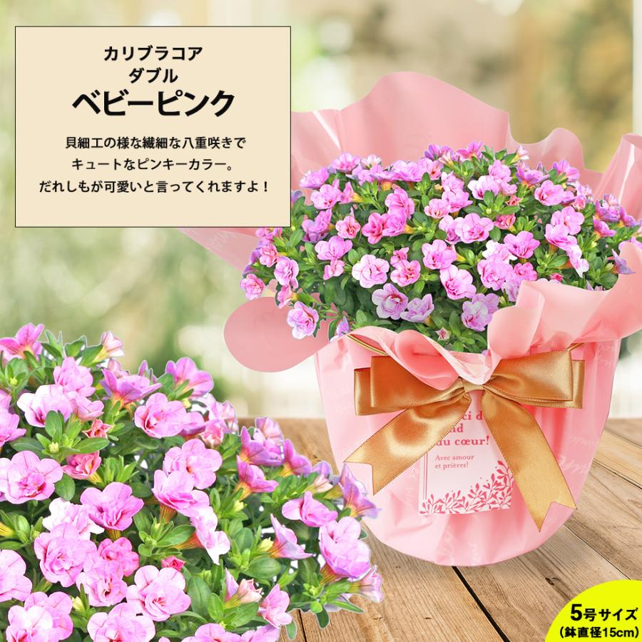遅れてごめんね 母の日 2026 プレゼント ギフト 花 11種類から選べる