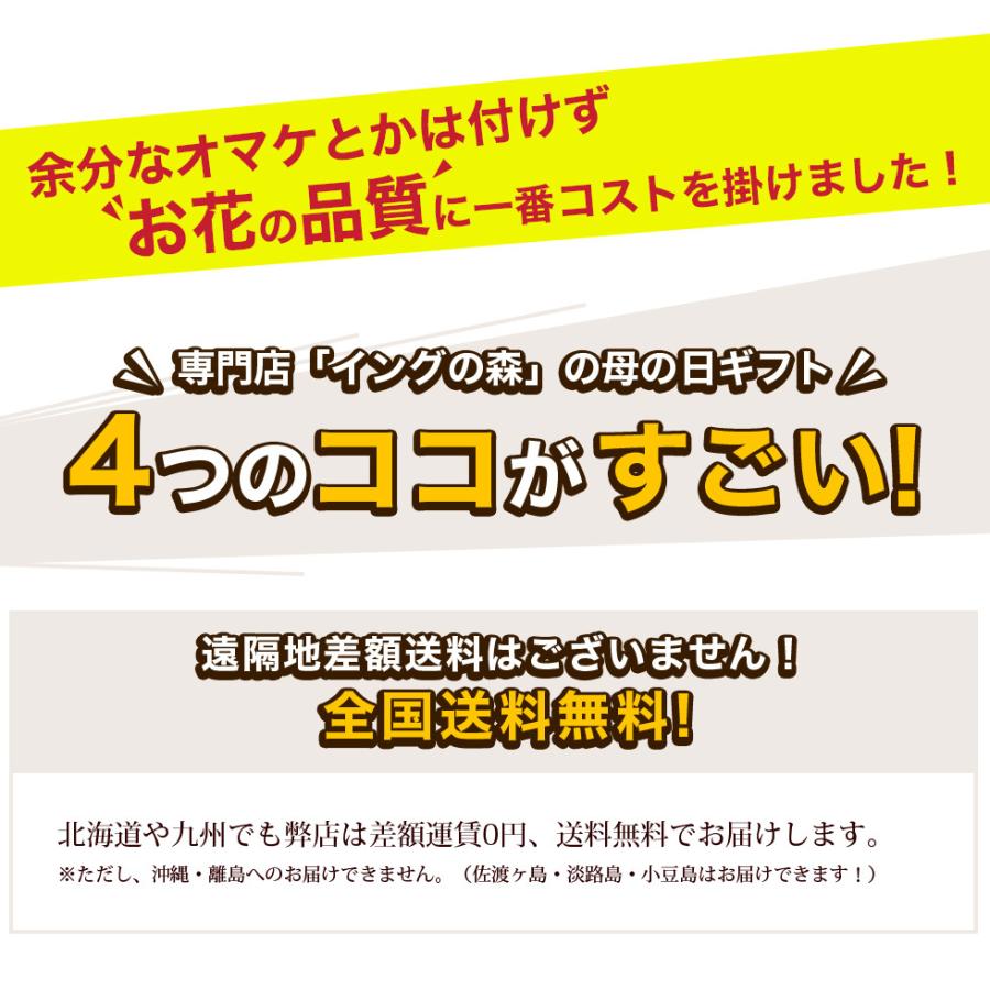 遅れてごめんね 母の日 鉢植え 22 花鉢 花 プレゼント ギフト リ60代 70代 80代 ップギャル ジャスミン マーガレット など E イングの森 花 苗 球根 育て方 通販 Yahoo ショッピング