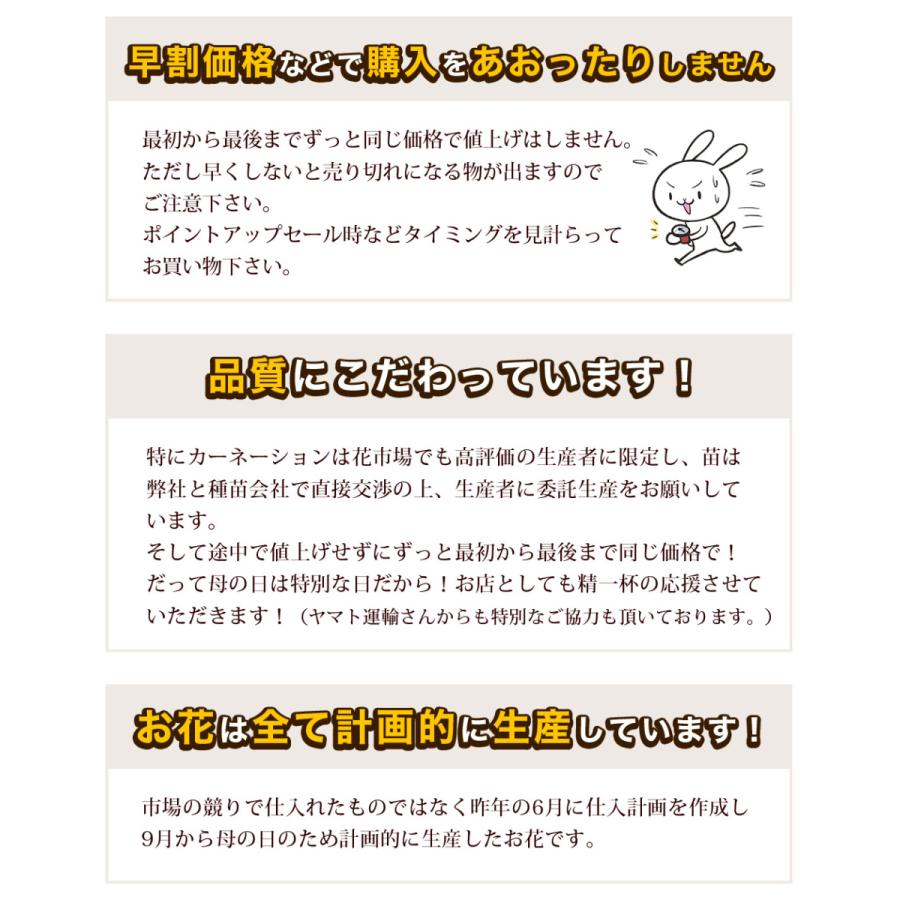 母の日 21 花 鉢植え プレゼントpresent ギフト 選べるお花 おしゃれ ベゴニア ブーゲンビリア クレマチス こだわりラッピング E イングの森 花 苗 育て方 通販 Yahoo ショッピング