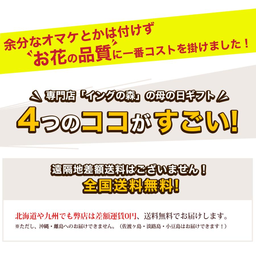 遅れてごめんね 母の日 2024 ギフト 鉢植え 花 プレゼント 12種類から選べる クレマチス 5号サイズ 鉢植え こだわりラッピング 全国送料無料｜hanamankai｜02