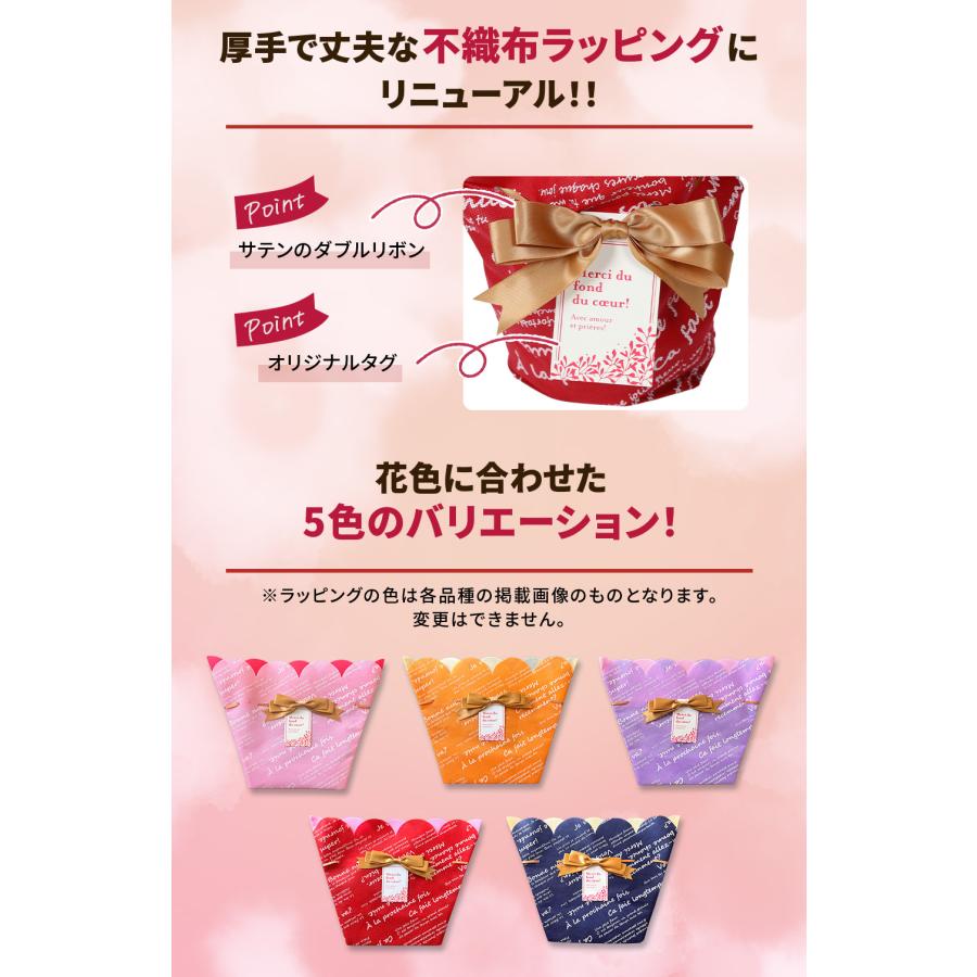 遅れてごめんね 母の日 2026 ギフト 鉢植え 花 プレゼント 12種類から