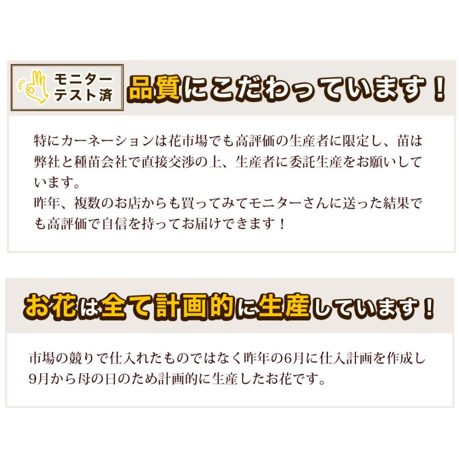 母の日 2024 インティカンチャ（アルストロメリア） クチナシ ベゴニアなど 6種類から選べる こだわりラッピング 全国送料無料 プレゼント ギフト｜hanamankai｜03