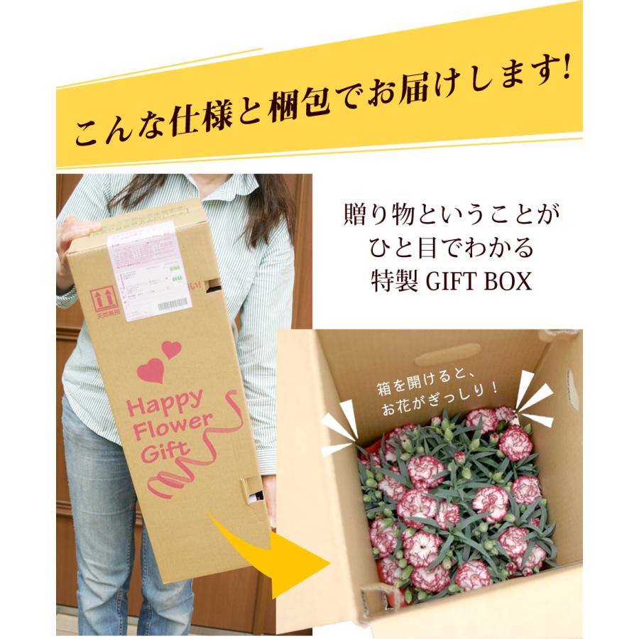 母の日 22 あじさい プレゼント ギフト 6種類から選べるアジサイ5号サイズ 紫陽花 鉢植え こだわりラッピング 全国送料無料 H イングの森 母の日 プレゼント ギフト 花 通販 Yahoo ショッピング