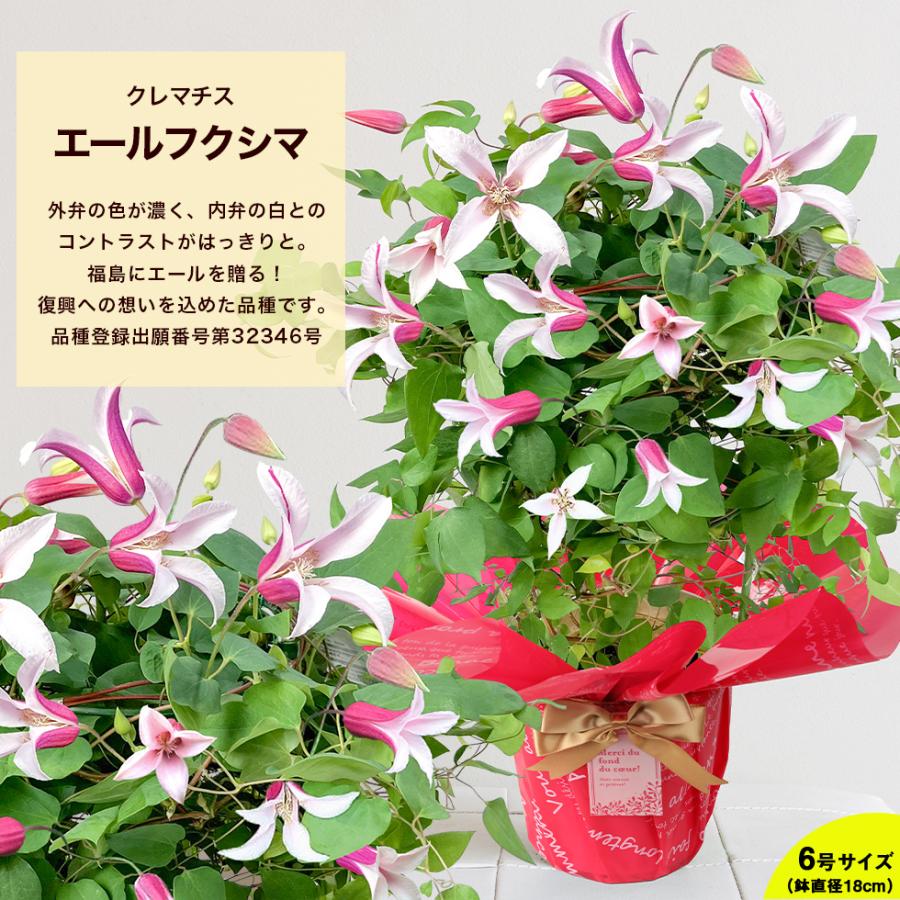 造花・アートフラワー 赤いバラと白いクレマチス バスケット