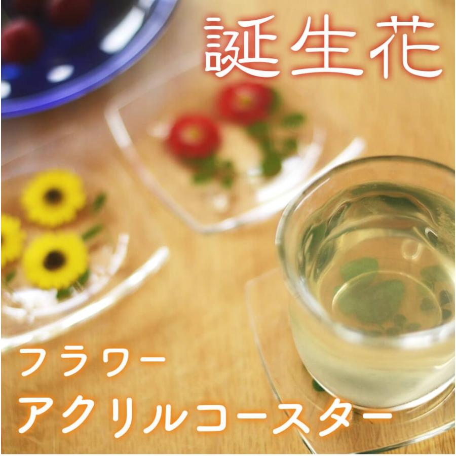 母の日 ギフト プレゼント 誕生花フラワーアクリルコースター 全国送料無料 ネコポス ポスト投函 Kg1 イングの森 母の日 プレゼント ギフト 花 通販 Yahoo ショッピング