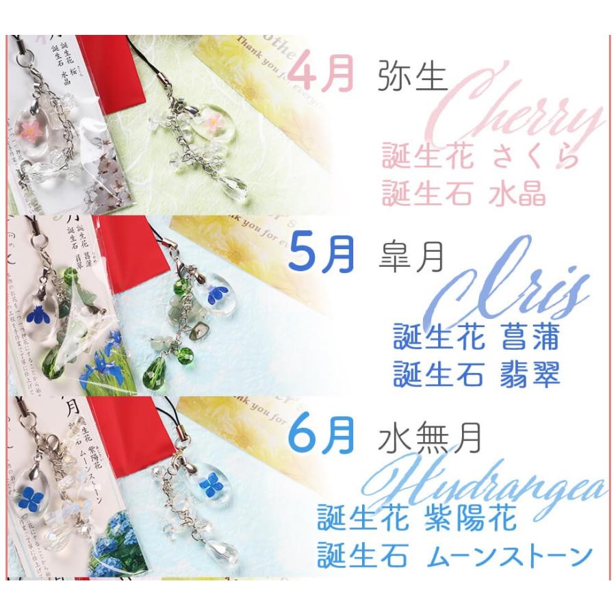 ギフト プレゼント 誕生花 誕生石コラボレーションストラップ 全国送料無料 ネコポス ポスト投函 Kg2 イングの森 花 苗 球根 育て方 通販 Yahoo ショッピング