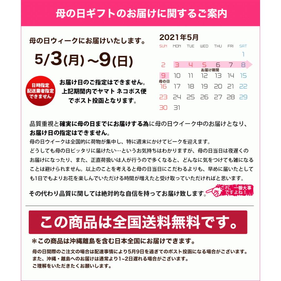 母の日 ギフト プレゼント 誕生花フラワー箸置き2個組 全国送料無料 ネコポス ポスト投函 Kg9 イングの森 花 苗 育て方 通販 Yahoo ショッピング