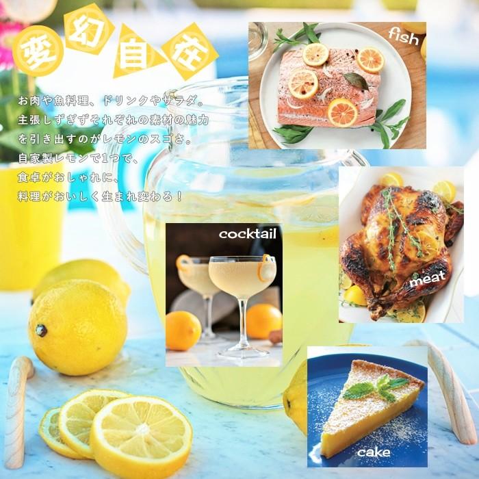 果樹苗 柑橘 レモン 苗木 早成りレモン レモン21 5号鉢 2年物 果樹苗木 常緑樹 レモンの木 M Lemon21 2 イングの森 花 苗 育て方 通販 Yahoo ショッピング