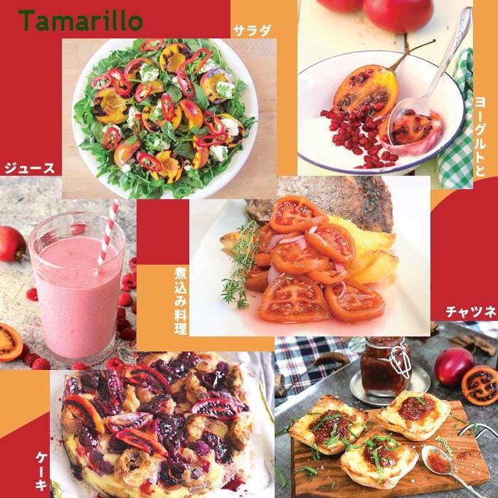 トマト 南国フルーツ 苗 野菜苗 トマトの木 タマリロ 3 5号 直径10 5cm ポット トマトツリー 木立トマト M Tomato Tamarillo1 イングの森 花 苗 育て方 通販 Yahoo ショッピング