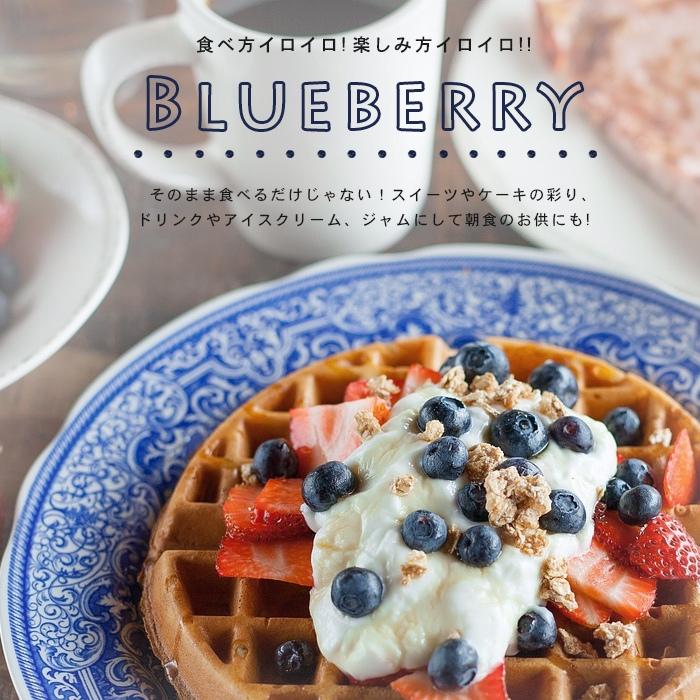 果樹苗 ブルーベリー サザンハイブッシュ系 2品種植え（シャープブルー