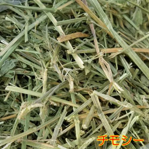 牧草 うさぎ ヤギ 干し草 ペットフード おやつ アルファとチモシー