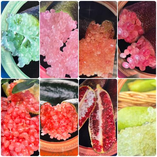 ①*:ஐ粒々食感！*:ஐ接木・フィンガーライム・苗木【リトルルビー】苗