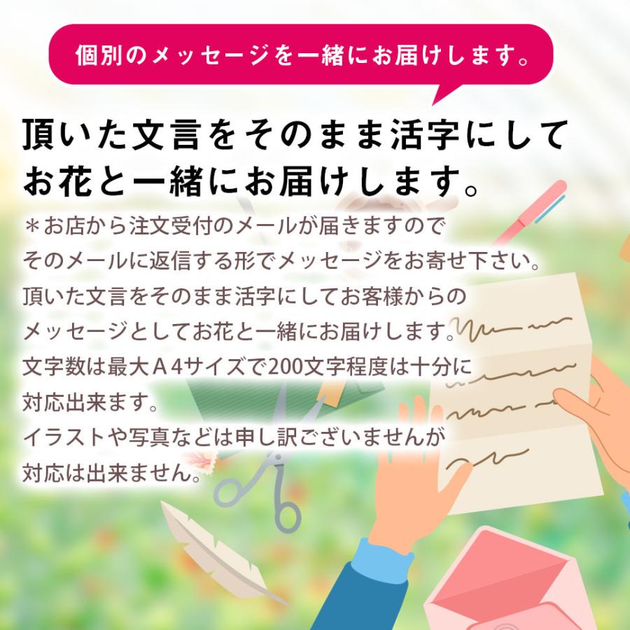 鉢花 ギフト おしゃれ 春 夏 秋 冬 3480円コース プレゼント リボン 誕生日 入学 可愛くラッピング 35 Off お祝い 卒業 メッセージを添えてお届け