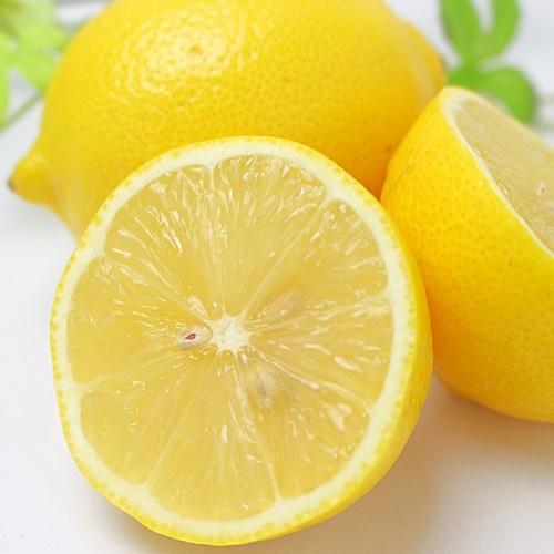 レモンの木 リスボン 果樹 苗木 柑橘系 5号 鉢植え 観葉植物 数量限定 N Lemon Lis3 イングの森 花 苗 育て方 通販 Yahoo ショッピング