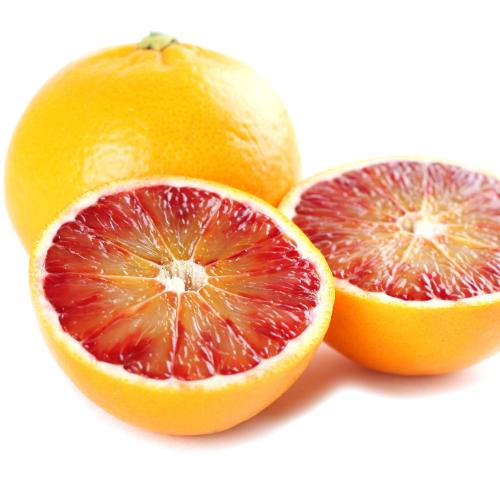 ブラッドオレンジ 果樹 苗木 柑橘 1年生挿木 4.5号 直径13.5cm 育てやすい 100％本物保証 100％品質 庭 常緑樹 鉢 ポット