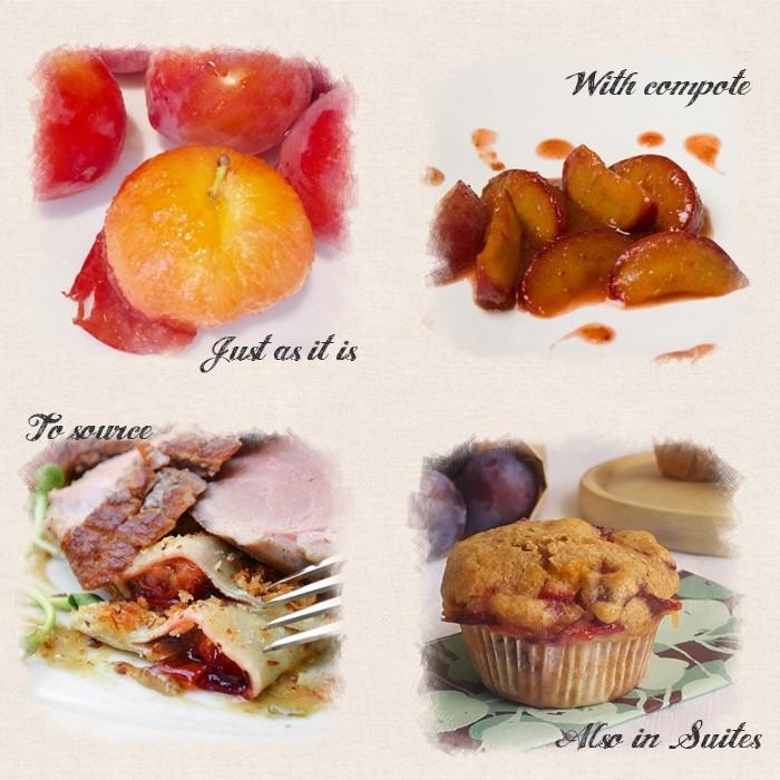 すもも プラム 苗木 果樹 貴陽 きよう 1年生 接ぎ木 4 5号 13 5cm ポット 落葉樹 日本スモモ N14 Plum Kiyo イングの森 花 苗 育て方 通販 Yahoo ショッピング