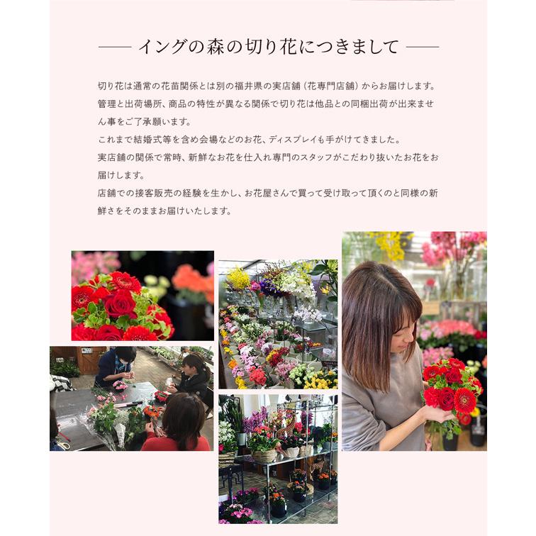 ホワイトデー 母の日 22 花 ギフト そのまま飾れるスタンディングブーケ 水やり水替え不要 プレゼント誕生日 フラワーギフト 花束 送料無料 W Cut01 イングの森 母の日 プレゼント ギフト 花 通販 Yahoo ショッピング