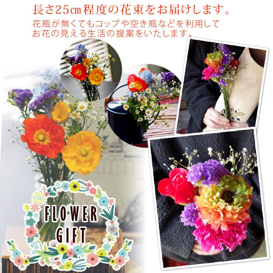 ホワイトデー ギフト ポスト投函の切り花 気軽に飾れる5輪ミニブーケ 日本全国送料無料 北海道 沖縄及び離島へのお届けは不可 ポ花 ポスト投函の切り花 Z Cutflowerweek イングの森 花 苗 球根 育て方 通販 Yahoo ショッピング